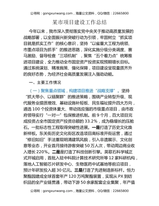 某市项目建设工作总结