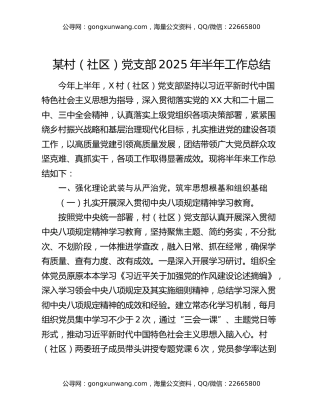 某村（社区）党支部2025年半年工作总结