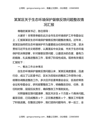 某某区关于生态环境保护督察反馈问题整改情况汇报