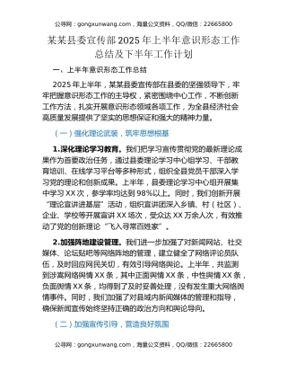 某某县委宣传部2025年上半年意识形态工作总结及下半年工作计划