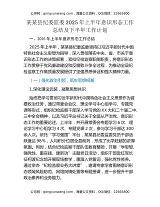 某某县纪委监委2025年上半年意识形态工作总结及下半年工作计划