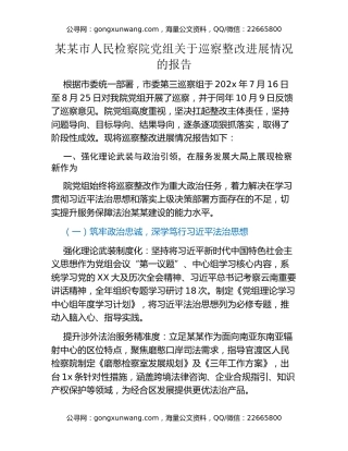 某某市人民检察院党组关于巡察整改进展情况的报告