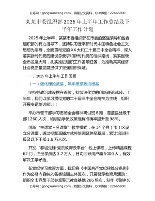某某市委组织部2025年上半年工作总结及下半年工作计划