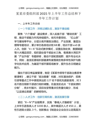 某某市委组织部2025年上半年工作总结和下半年工作计划