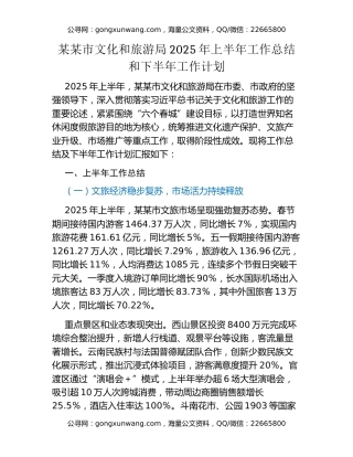 某某市文化和旅游局2025年上半年工作总结和下半年工作计划
