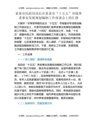 某某市民政局局长在某某市“十五五”市级养老事业发展规划编制工作座谈会上的汇报