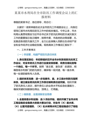 某某市水利局在全市防汛工作调度会议上的汇报材料