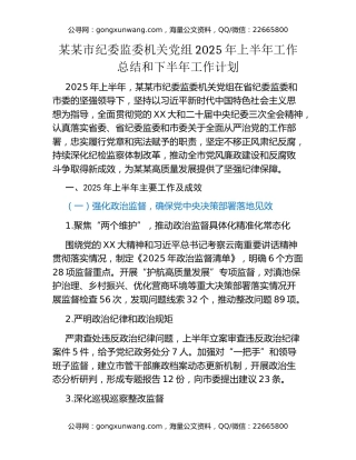 某某市纪委监委机关党组2025年上半年工作总结和下半年工作计划