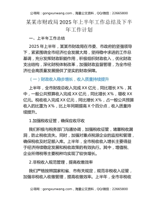 某某市财政局2025年上半年工作总结及下半年工作计划