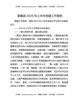 某集团2025年上半年党建工作报告