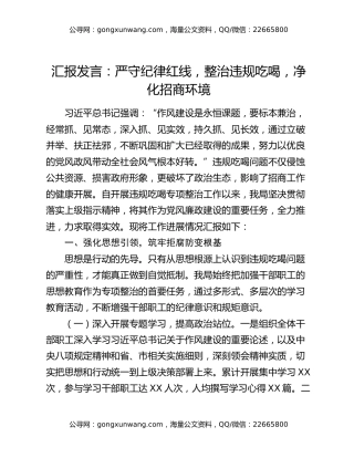 汇报发言：严守纪律红线，整治违规吃喝，净化招商环境