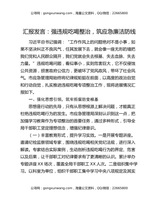 汇报发言：强违规吃喝整治，筑应急廉洁防线