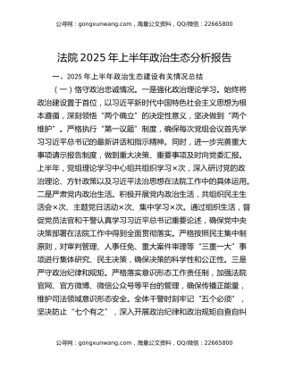 法院2025年上半年政治生态分析报告