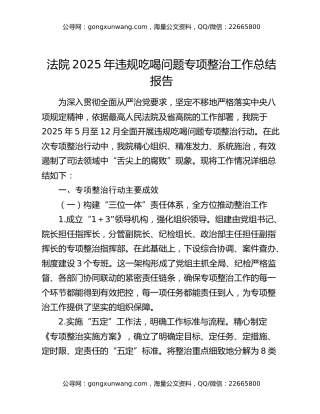 法院2025年违规吃喝问题专项整治工作总结报告