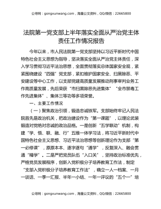 法院第一党支部上半年落实全面从严治党主体责任工作情况报告