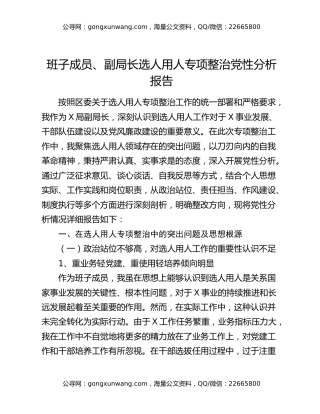 班子成员、副局长选人用人专项整治党性分析报告