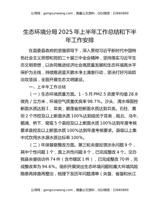 生态环境分局2025年上半年工作总结和下半年工作安排