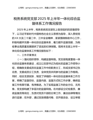 税务系统党支部2025年上半年一体化综合监督体系工作情况报告