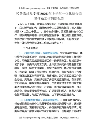 税务系统党支部2025年上半年一体化综合监督体系工作情况报告 (2)