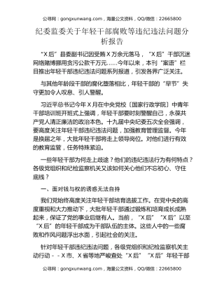 纪委监委关于年轻干部腐败等违纪违法问题分析报告