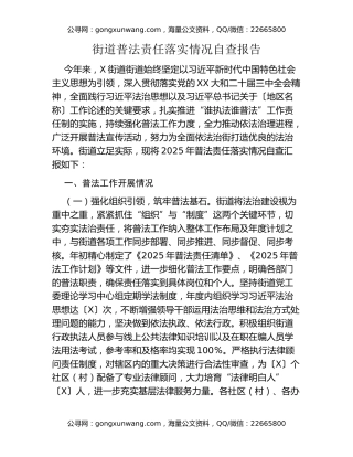 街道普法责任落实情况自查报告