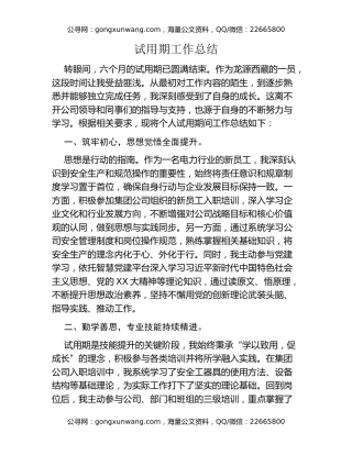 试用期工作总结