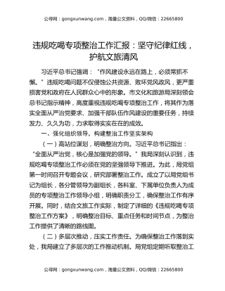 违规吃喝专项整治工作汇报：坚守纪律红线，护航文旅清风