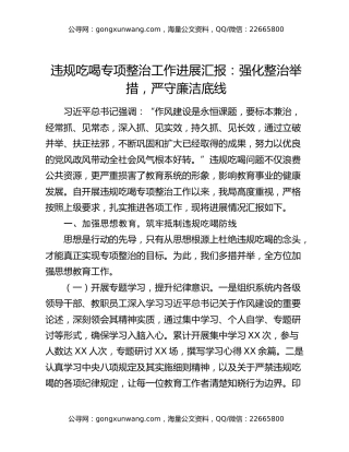 违规吃喝专项整治工作进展汇报：强化整治举措，严守廉洁底线