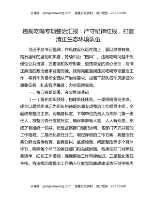 违规吃喝专项整治汇报：严守纪律红线，打造清正生态环境队伍