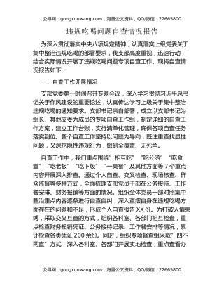 违规吃喝问题自查情况报告