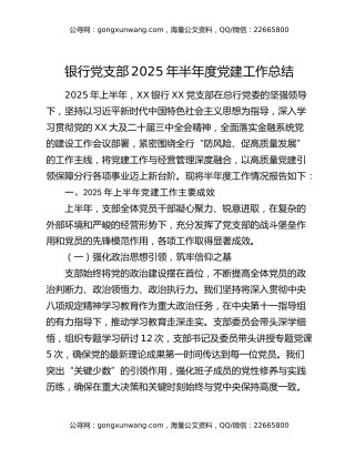银行党支部2025年半年度党建工作总结