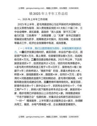镇2025年上半年工作总结
