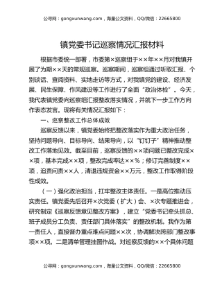 镇党委书记巡察情况汇报材料