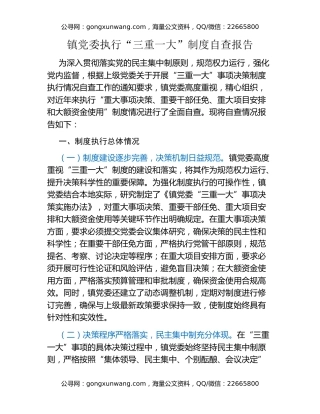 镇党委执行“三重一大”制度自查报告