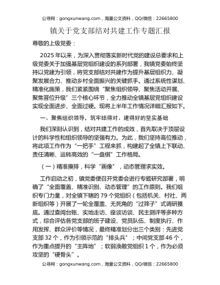 镇关于党支部结对共建工作专题汇报