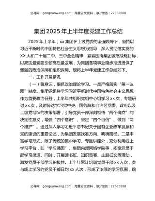 集团2025年上半年度党建工作总结