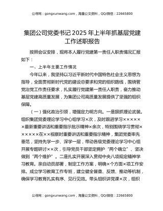 集团公司党委书记2025年上半年抓基层党建工作述职报告