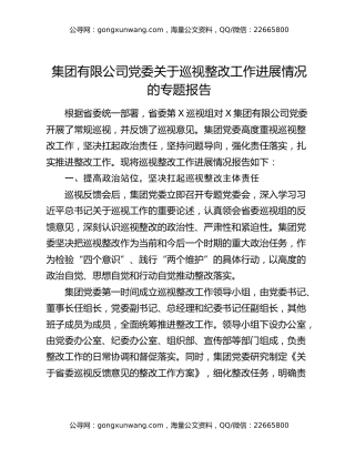 集团有限公司党委关于巡视整改工作进展情况的专题报告