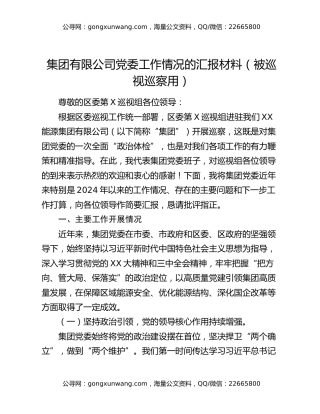 集团有限公司党委工作情况的汇报材料（被巡视巡察用）