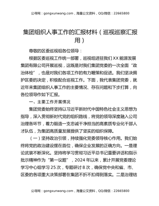 集团组织人事工作的汇报材料（巡视巡察汇报用）