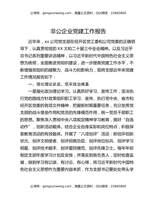 非公企业党建工作报告