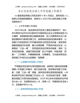 非公企业党支部上半年党建工作报告