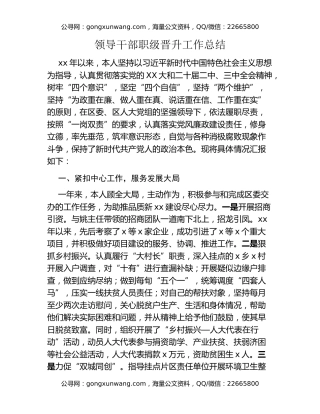 领导干部职级晋升工作总结