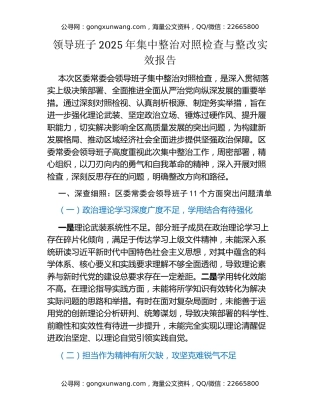 领导班子2025年集中整治对照检查与整改实效报告