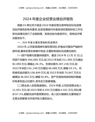 2024年度企业经营业绩自评报告（2）