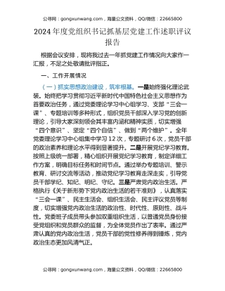 2024年度党组织书记抓基层党建工作述职评议报告