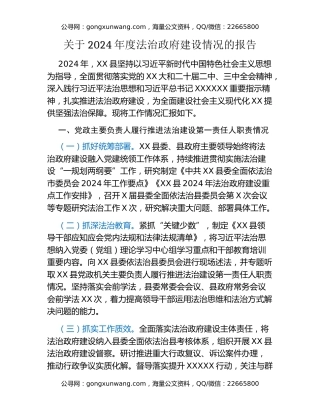 2024年度法治政府建设情况的报告