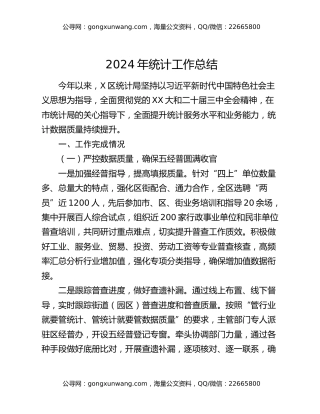2024年统计工作总结