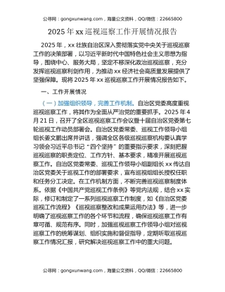 2025年xx巡视巡察工作开展情况报告