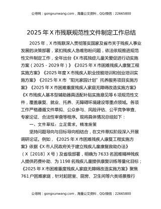2025年X市残联规范性文件制定工作总结